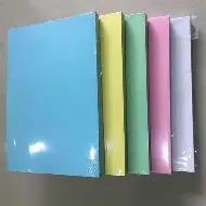 Bìa 2 lò xo A4 ( VC) Hồng